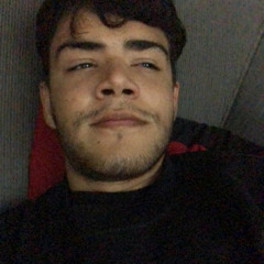 Gabriel Da Silva Bonini