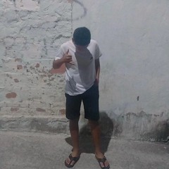 plzin