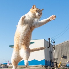 AYUKI