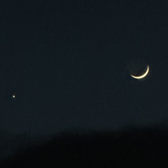 lil shali on the phone