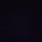 47250204135538