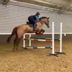 sineadmurphyx