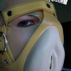 stekevbibi