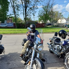 Alberto el Rey Tiburon