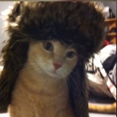 пизда