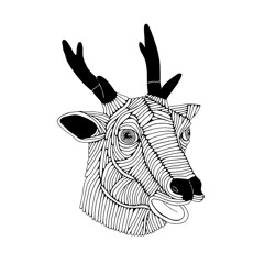 AcidStag