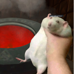 Pengi Ofc