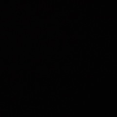 YOYO