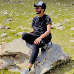 Syed Amir