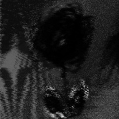 ³‎ ♯𝑒м °Ｔ𝔦𝐎n‎ˢ