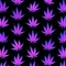 longlungs420