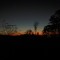 Rising Sun