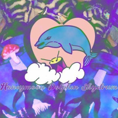 Honeymoon Dolphin Skydrum