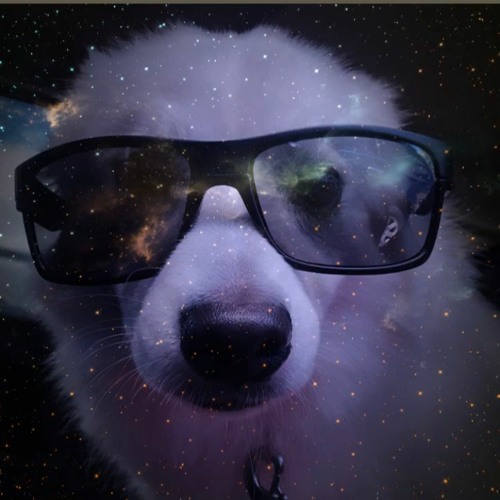 Mackgoonkoose (Producer) — artist photo