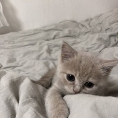 yona