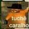 TEKdemos