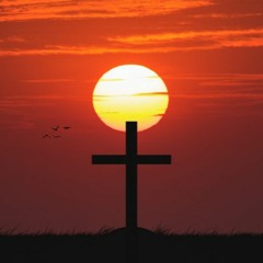 Steven Rabbit Destiny