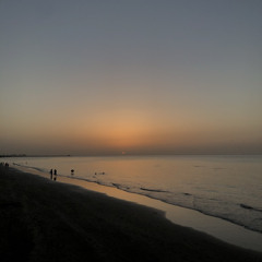 qias Alsheikh