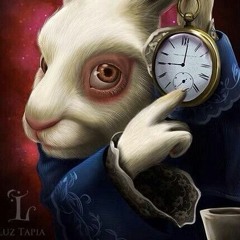 Kally Knallfrosch