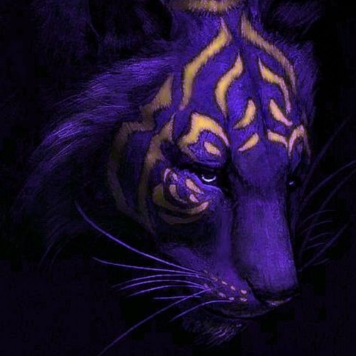 (ShAnkAri) artist photo