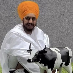 harjan singh
