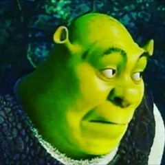 Fin