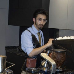 mohammadreza Alizade