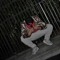 Kai_Nvx