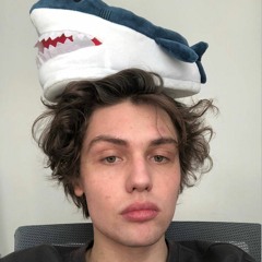 Slava Lavs