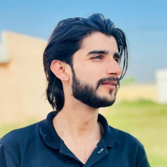 chaudhary Anas ✨