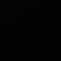 Litence