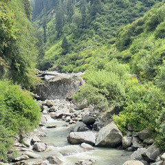 Vishal Sai