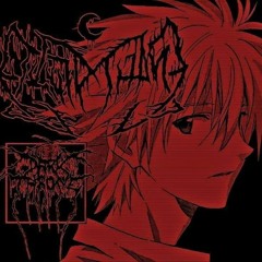 xsterii