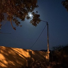 احياناً تَـوّاق .