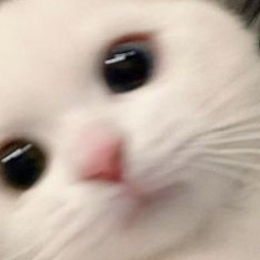 노래듣는너굴이