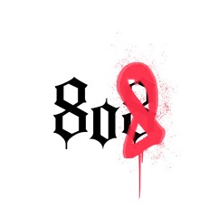 8o8 music