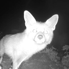 Vanessa Alica Kunert