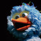 blauwevogelpino