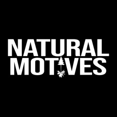 Natural Motives