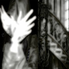 angel71V