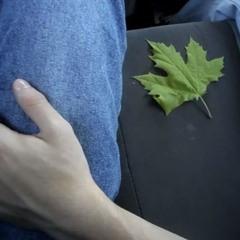 юра дисциплинированный