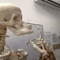 maybe a skeleton
