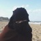 🔻𓇗 تينٌ وزَيتوْن