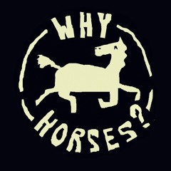Why Horses?