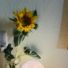 Valentina Macarena Jara