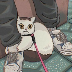 samcozy