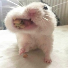 huyyn đang họcc :3