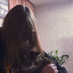 Welis