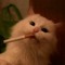 CatBlankt