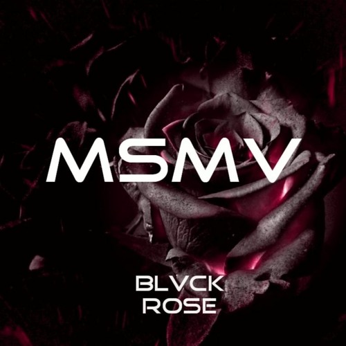 MSMV’s avatar